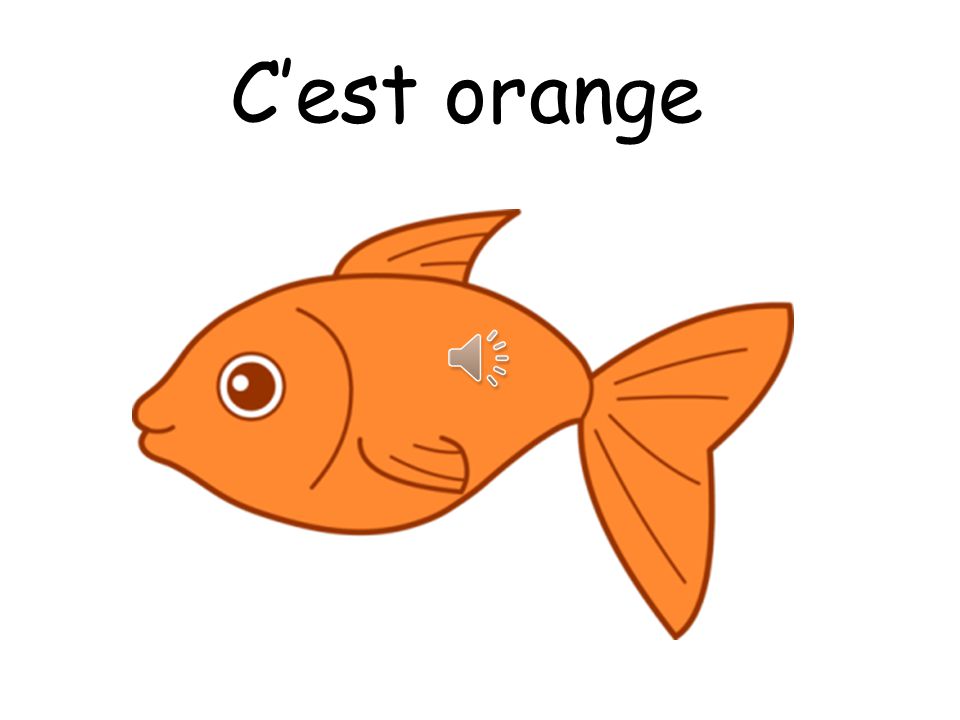 C’est orange Note that you pronounce the T on the end of C’est when it’s followed by a vowel!