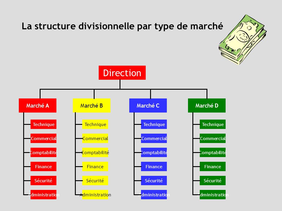 La structure divisionnelle par type de marché