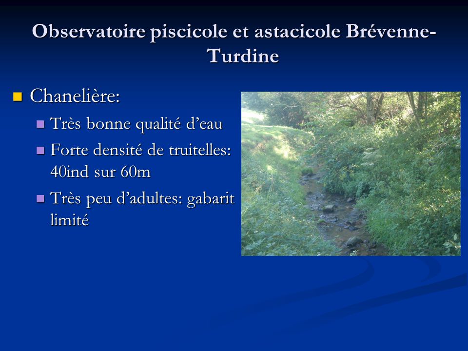 Observatoire piscicole et astacicole Brévenne-Turdine