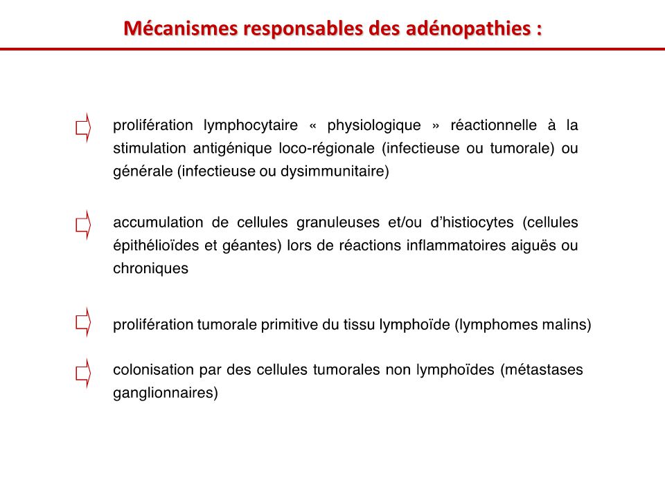 Mécanismes responsables des adénopathies :