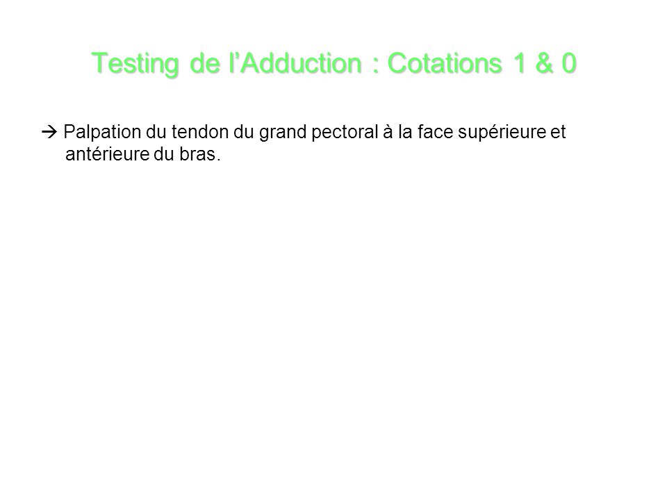 Testing de l’Adduction : Cotations 1 & 0
