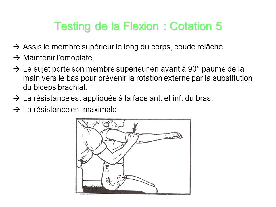 Testing de la Flexion : Cotation 5