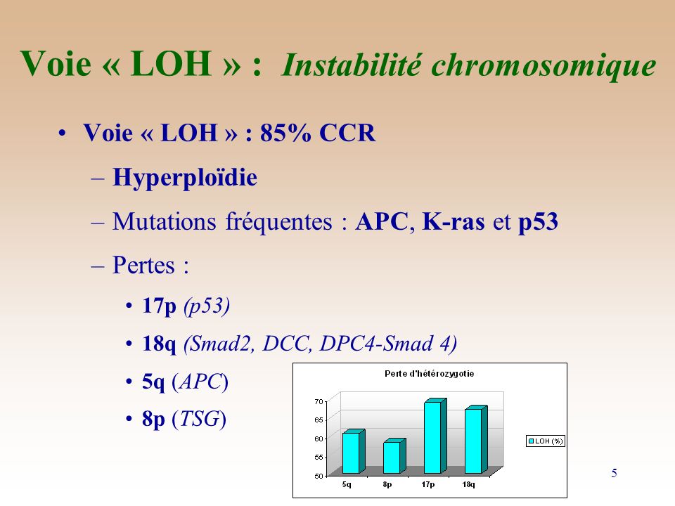 Voie « LOH » : Instabilité chromosomique