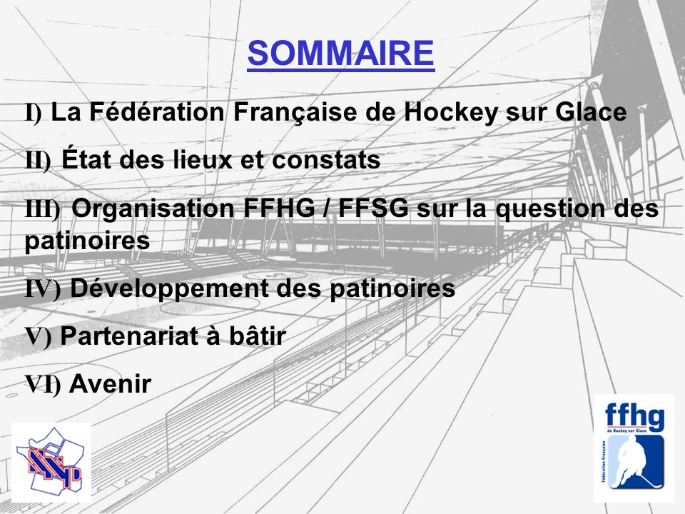 SOMMAIRE I) La Fédération Française de Hockey sur Glace