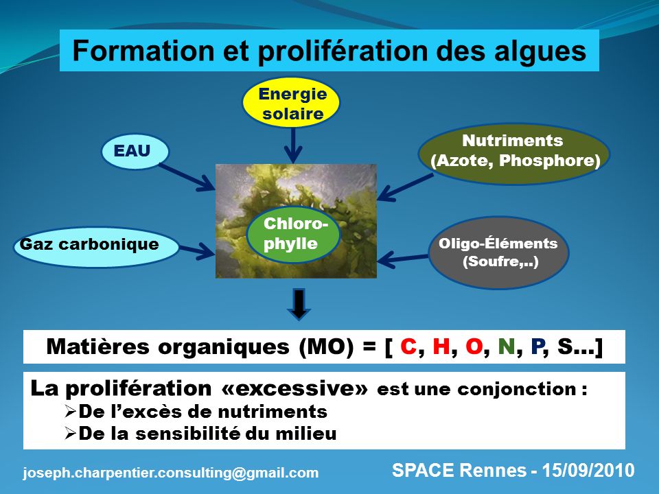 Formation et prolifération des algues
