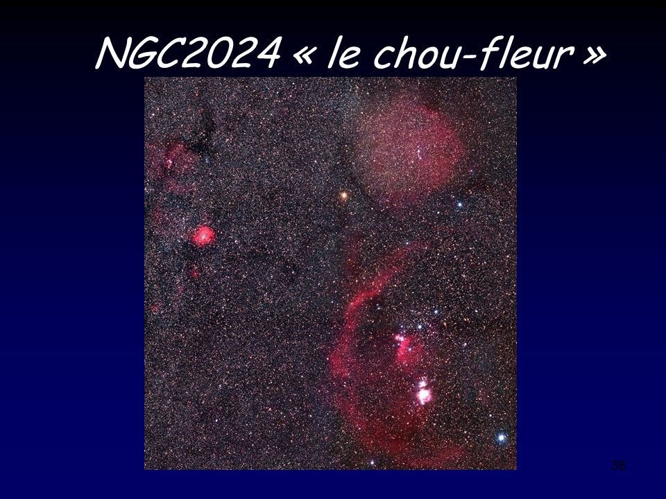 NGC2024 « le chou-fleur »