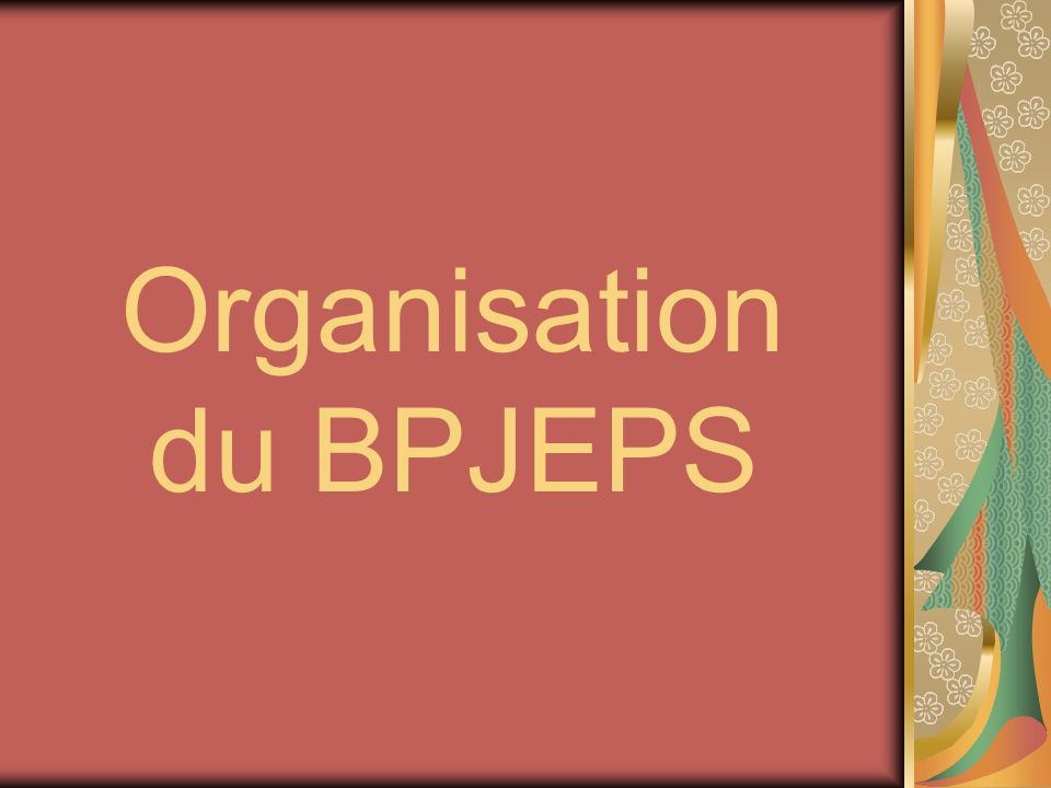 Organisation du BPJEPS