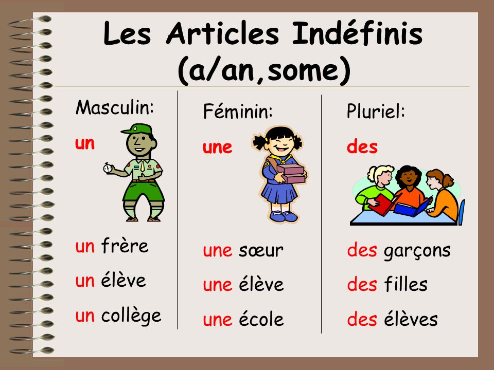 Les Articles Indéfinis (a/an,some)