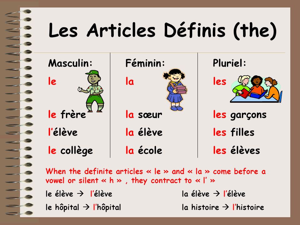 Les Articles Définis (the)