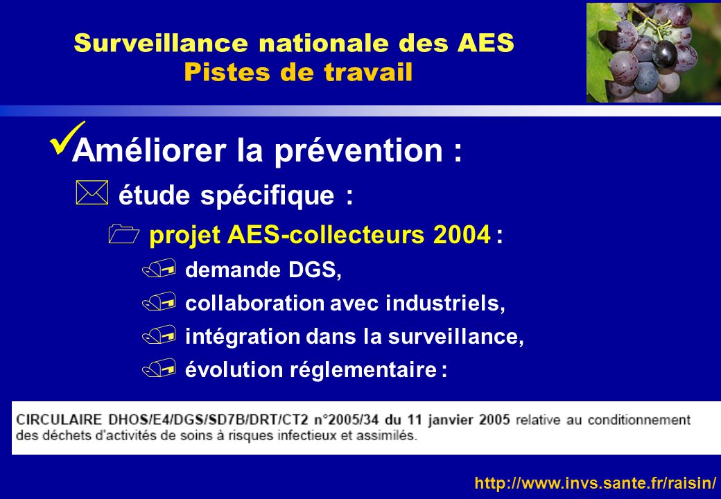 Surveillance nationale des AES Pistes de travail