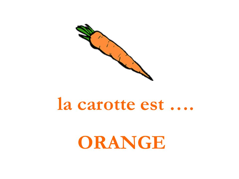 la carotte est …. ORANGE