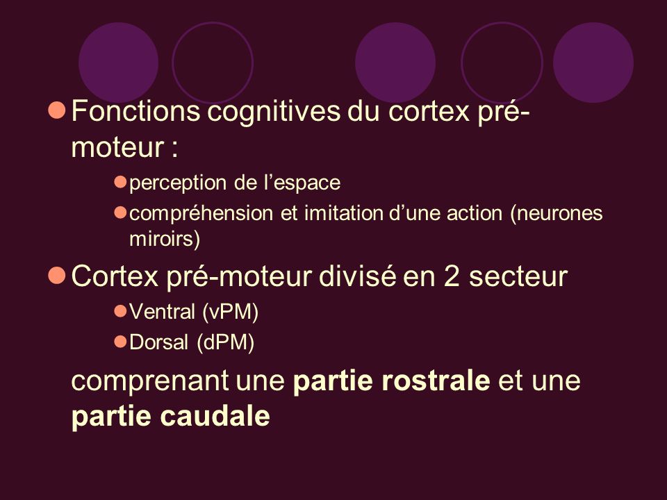Fonctions cognitives du cortex pré-moteur :