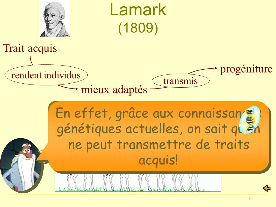 Lamark (1809) Trait acquis. rendent individus. progéniture. transmis. mieux adaptés.