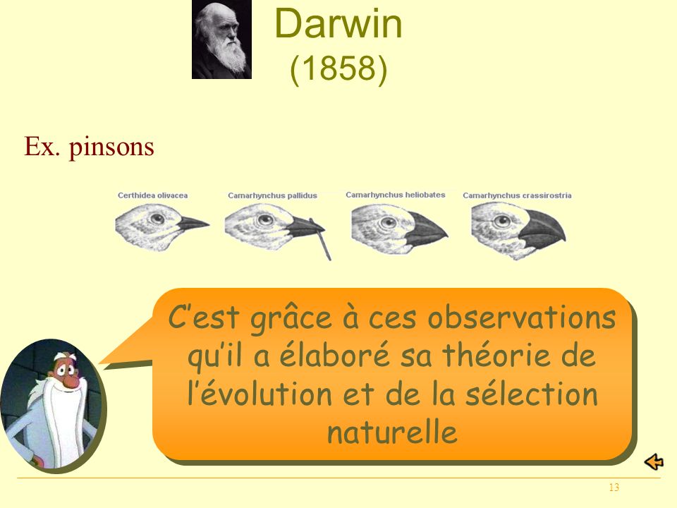 Darwin (1858) Ex. pinsons.