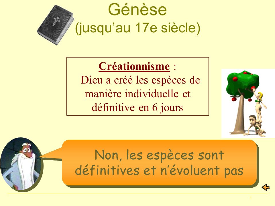 Génèse (jusqu’au 17e siècle)