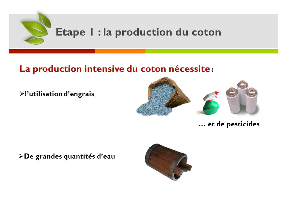 Etape 1 : la production du coton