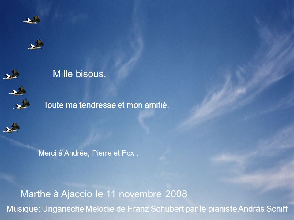Marthe à Ajaccio le 11 novembre 2008