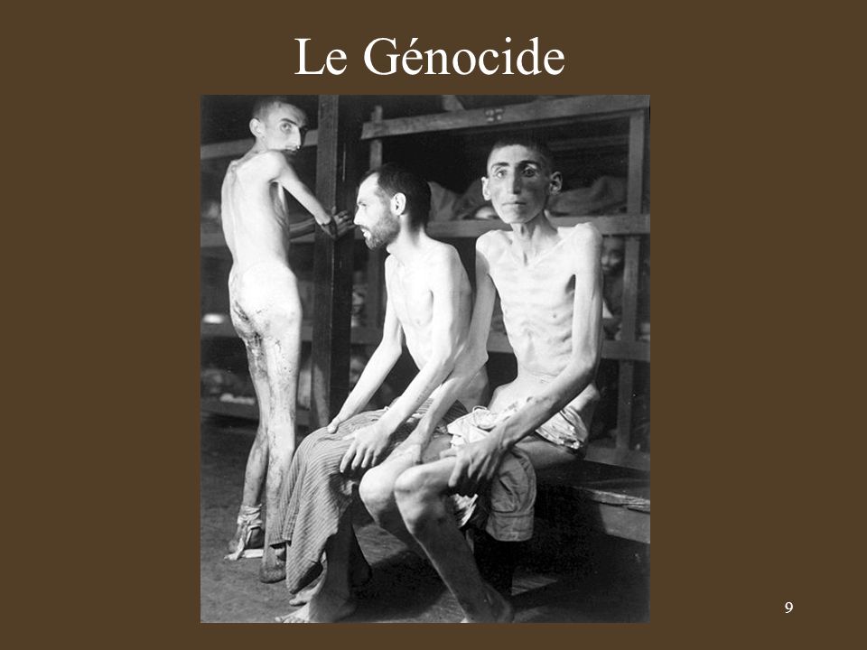Le Génocide