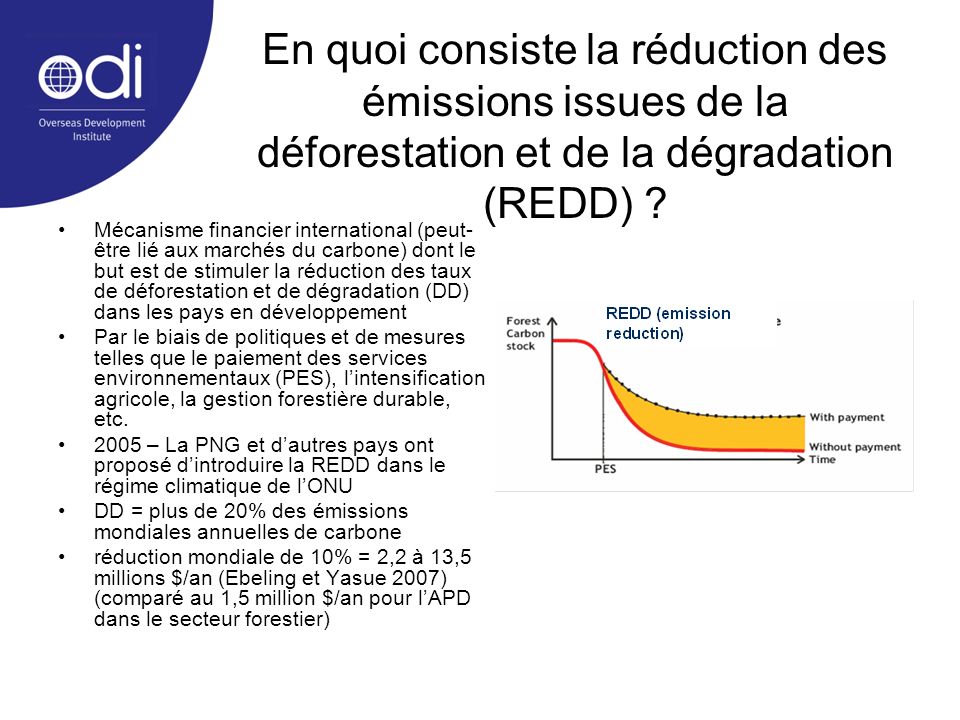 En quoi consiste la réduction des émissions issues de la déforestation et de la dégradation (REDD)