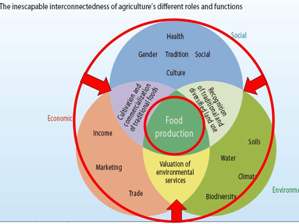 Les défis essentiels de l agriculture : la multifonctionnalité