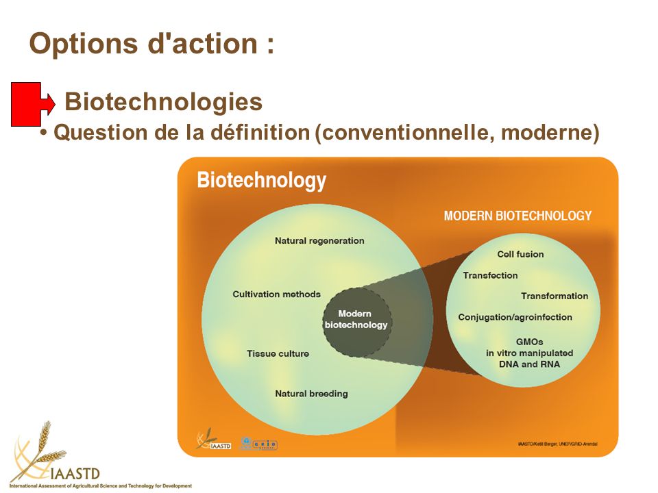 Options d action : Biotechnologies