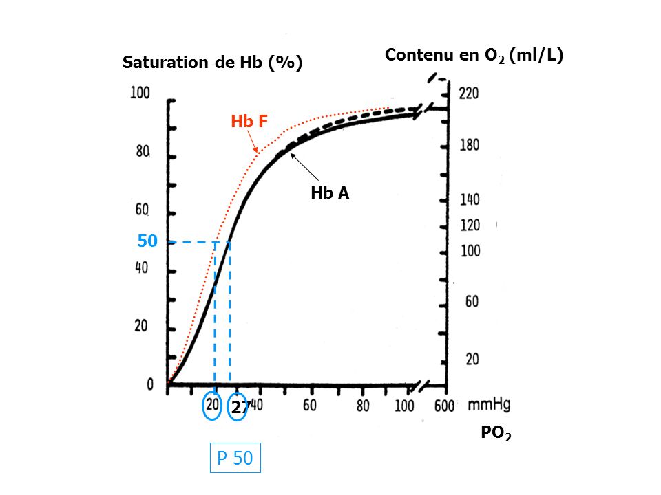 27 P Saturation de Hb (%) Contenu en O2 (ml/L) Hb F Hb A PO2