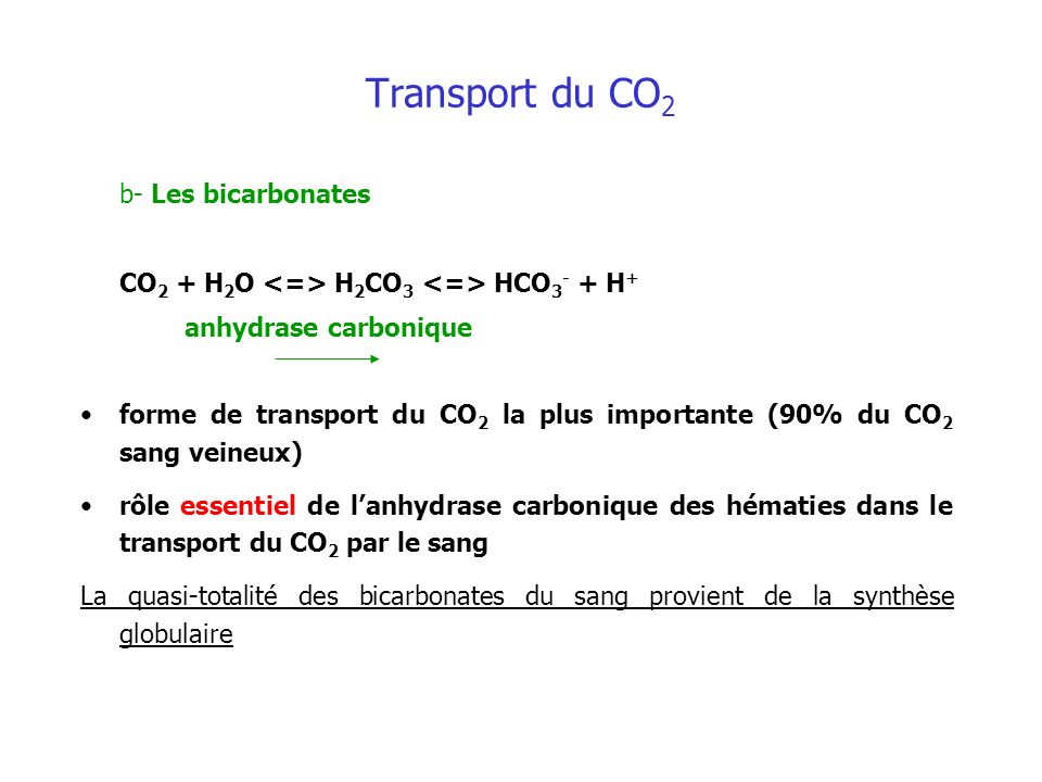 Transport du CO2 b- Les bicarbonates