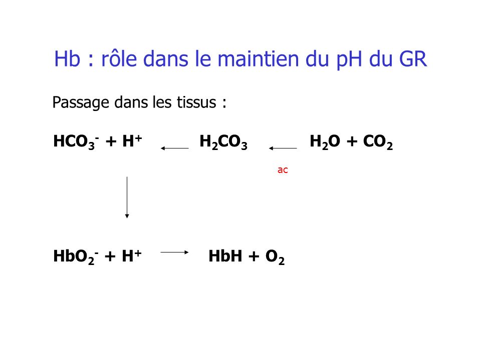 Hb : rôle dans le maintien du pH du GR