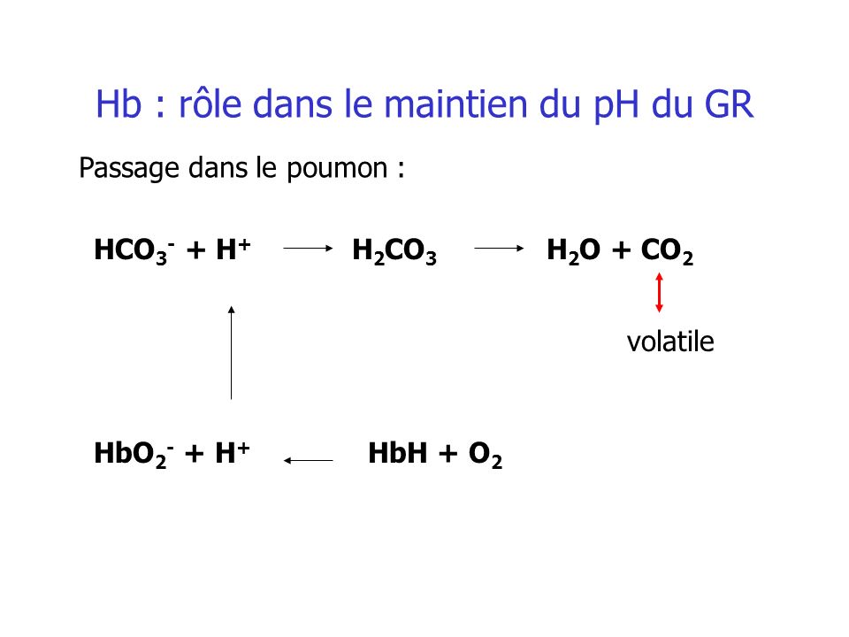 Hb : rôle dans le maintien du pH du GR