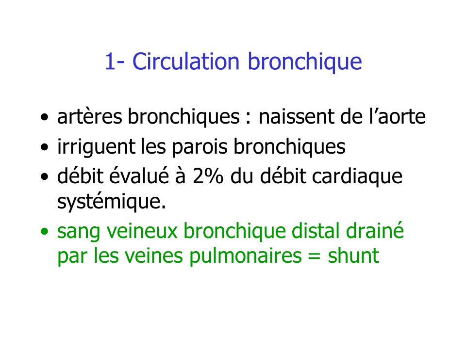 1- Circulation bronchique
