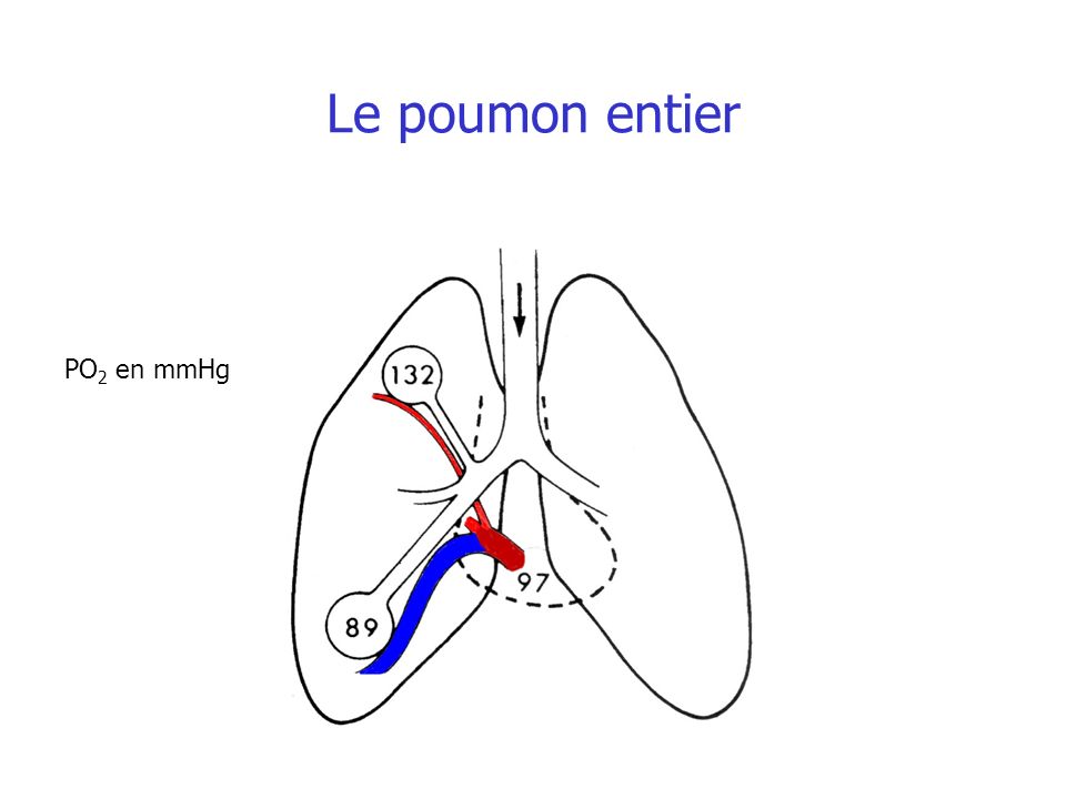 Le poumon entier PO2 en mmHg