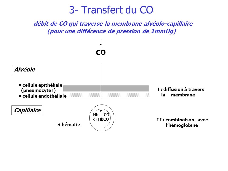 3- Transfert du CO débit de CO qui traverse la membrane alvéolo-capillaire (pour une différence de pression de 1mmHg)