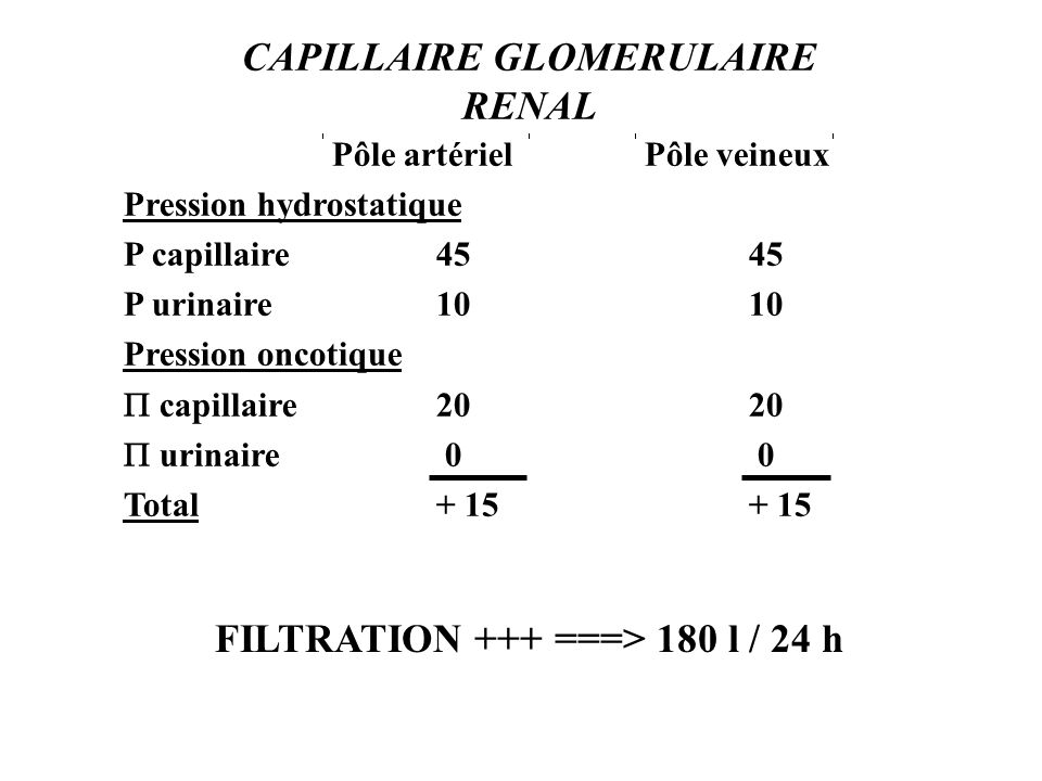 CAPILLAIRE GLOMERULAIRE RENAL FILTRATION +++ ===> 180 l / 24 h