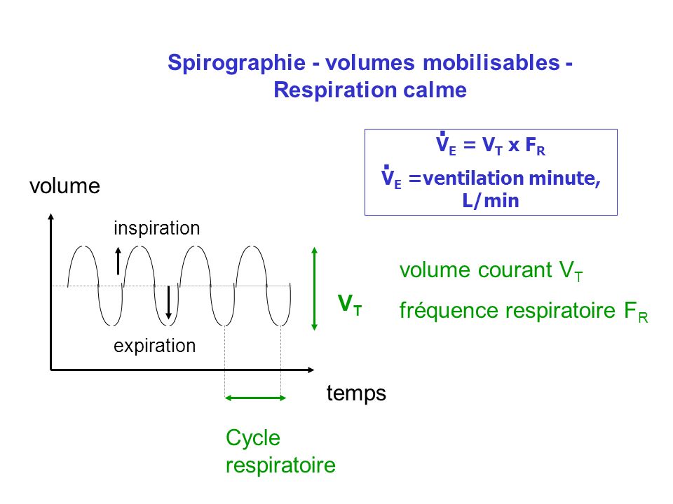 . . Spirographie - volumes mobilisables - Respiration calme volume