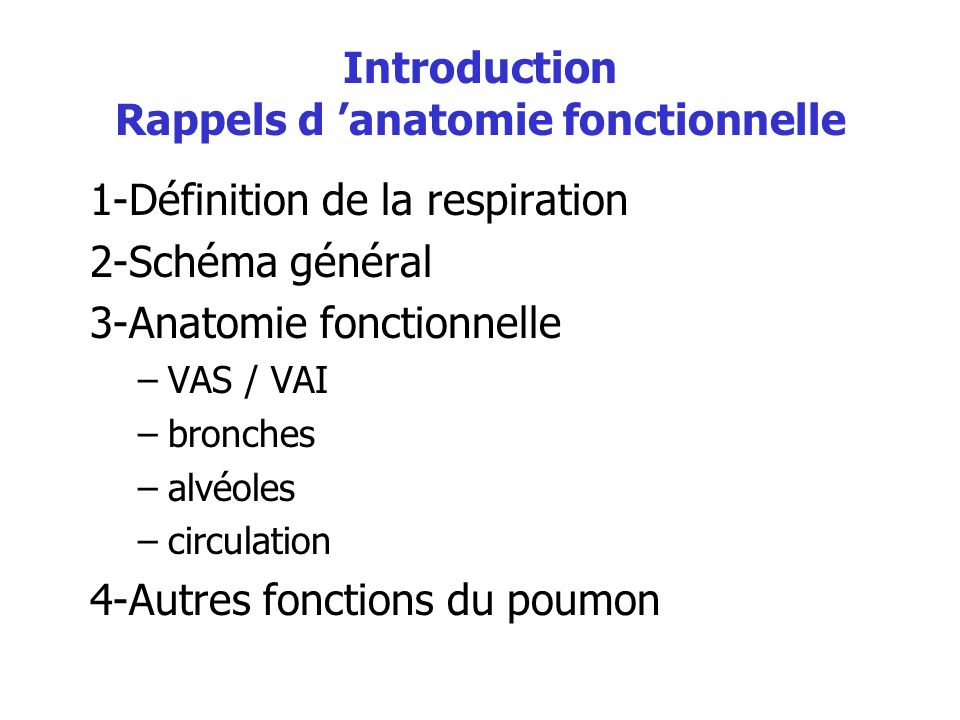 Introduction Rappels d ’anatomie fonctionnelle