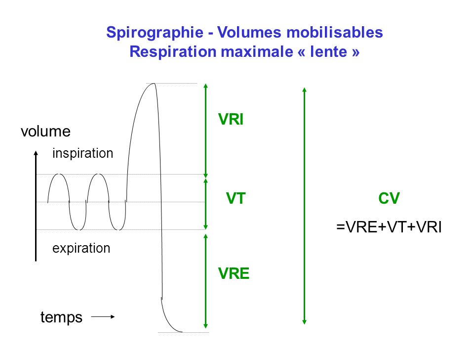 Spirographie - Volumes mobilisables Respiration maximale « lente »