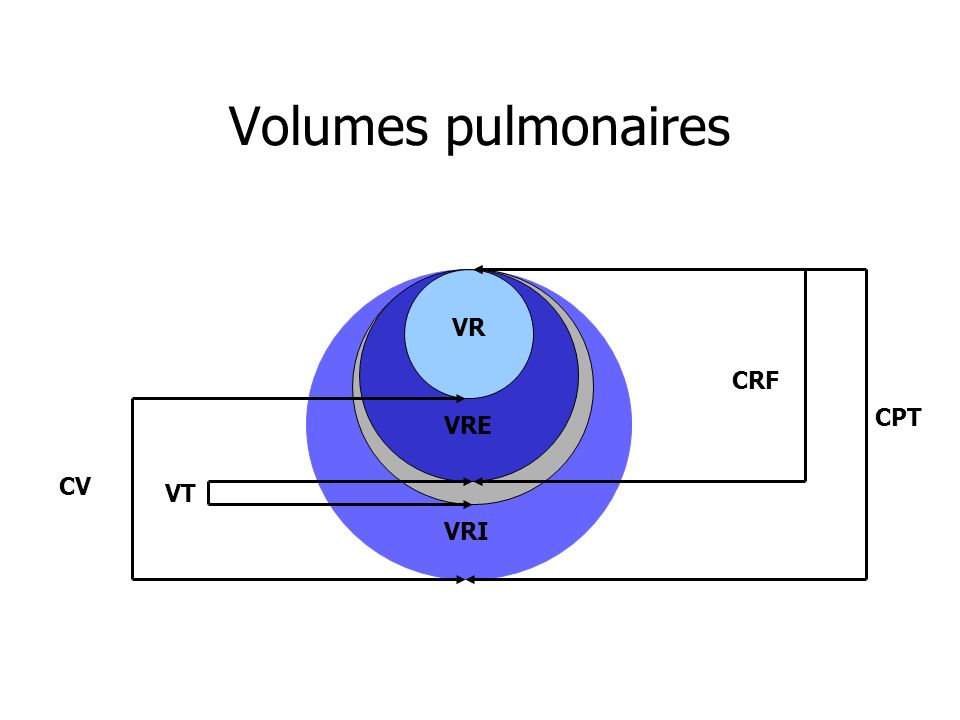 Volumes pulmonaires VR CRF CPT VRE CV VT VRI
