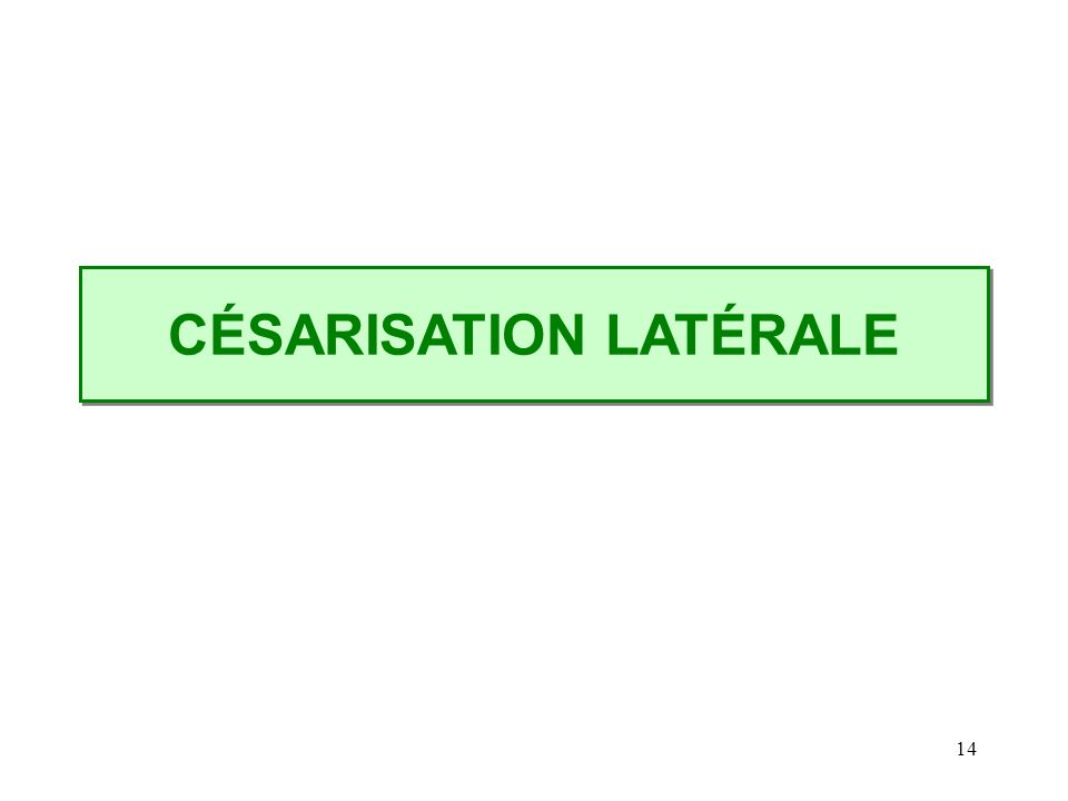 CÉSARISATION LATÉRALE