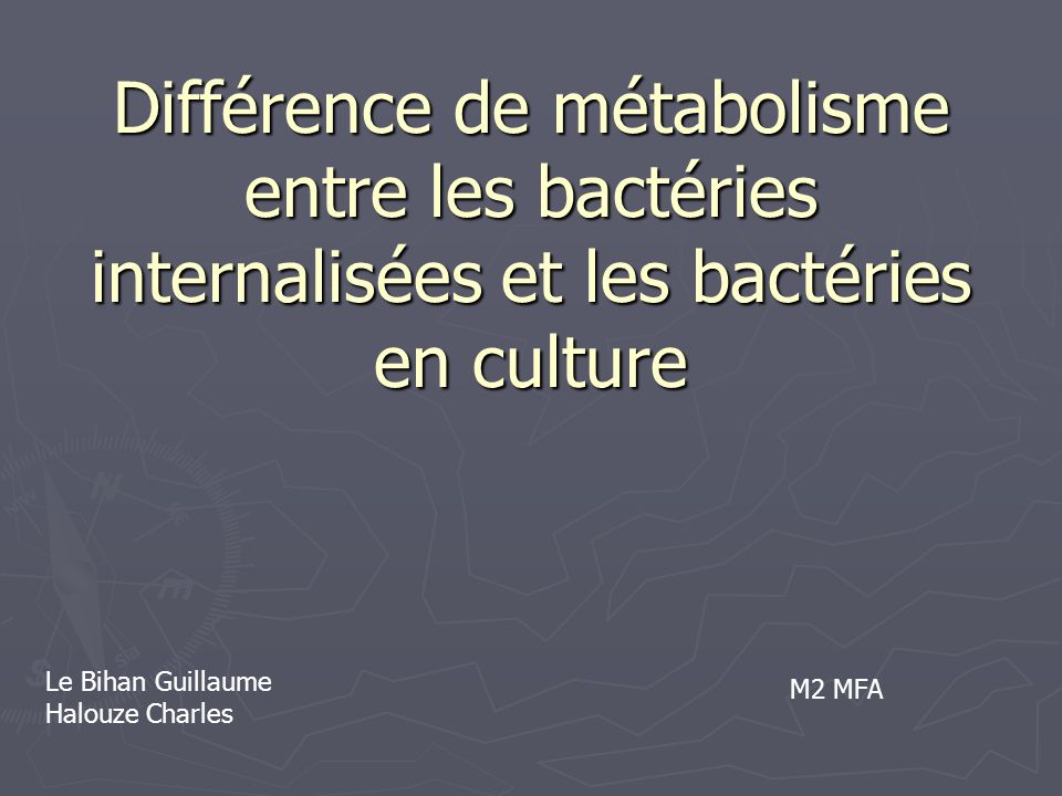 Différence de métabolisme entre les bactéries internalisées et les bactéries en culture