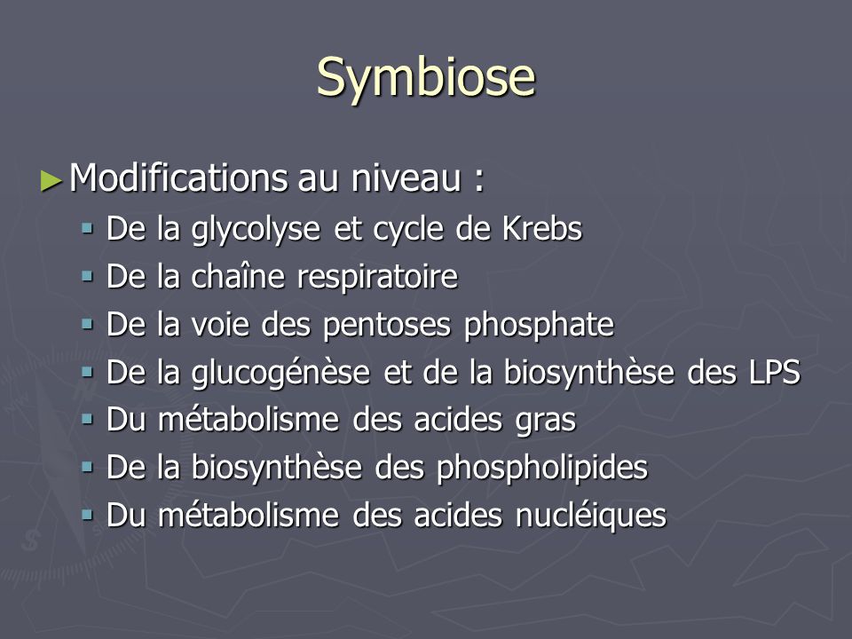 Symbiose Modifications au niveau : De la glycolyse et cycle de Krebs