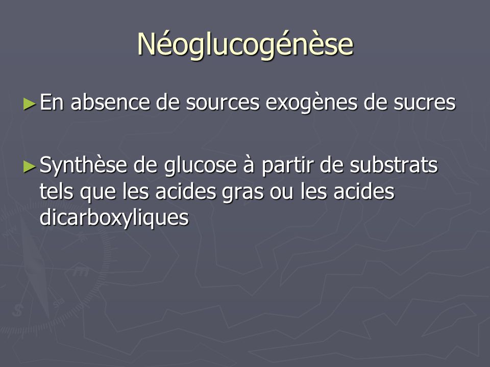 Néoglucogénèse En absence de sources exogènes de sucres