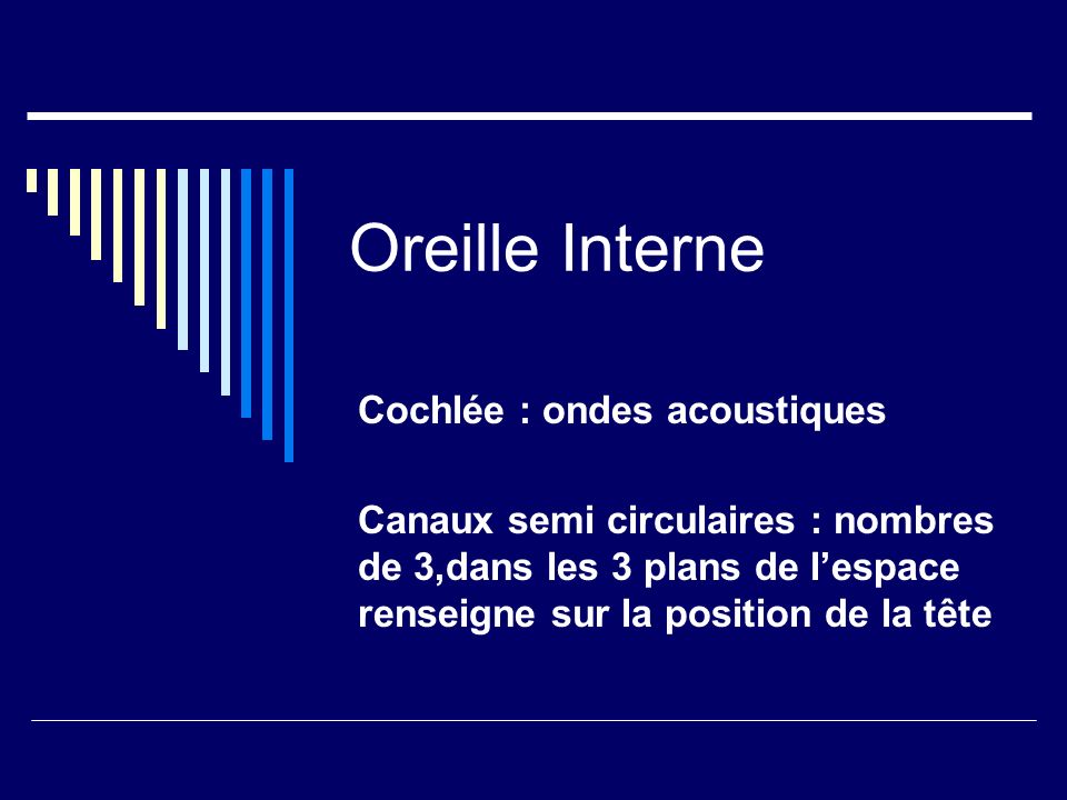 Oreille Interne Cochlée : ondes acoustiques
