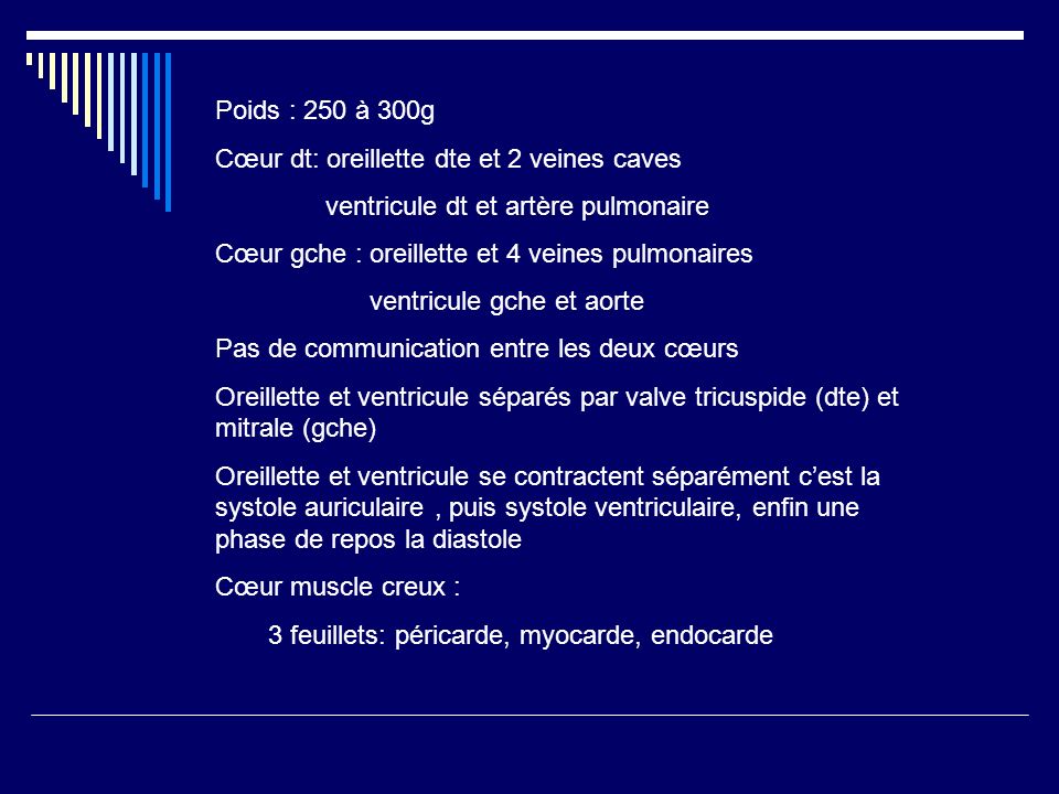 Poids : 250 à 300g Cœur dt: oreillette dte et 2 veines caves. ventricule dt et artère pulmonaire. Cœur gche : oreillette et 4 veines pulmonaires.