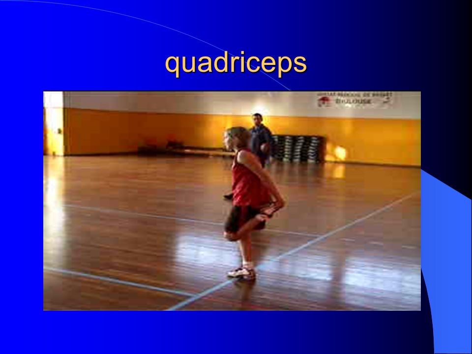 quadriceps