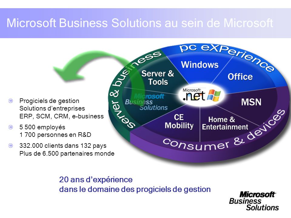 Microsoft Business Solutions au sein de Microsoft