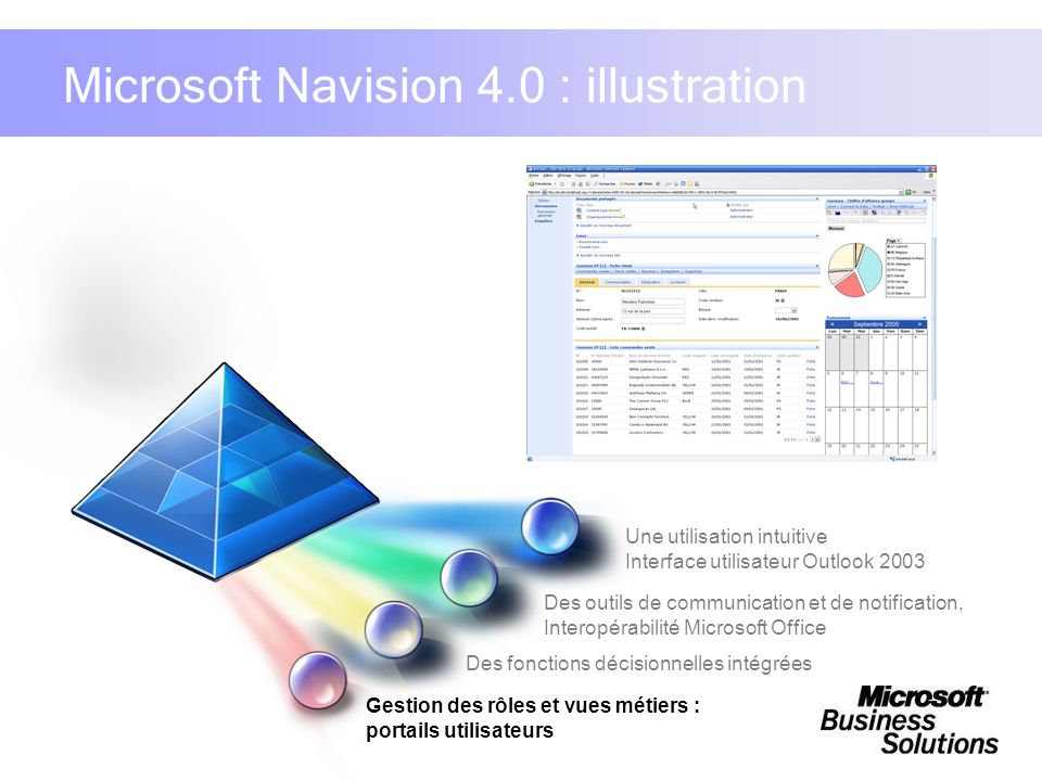 Microsoft Navision 4.0 : illustration