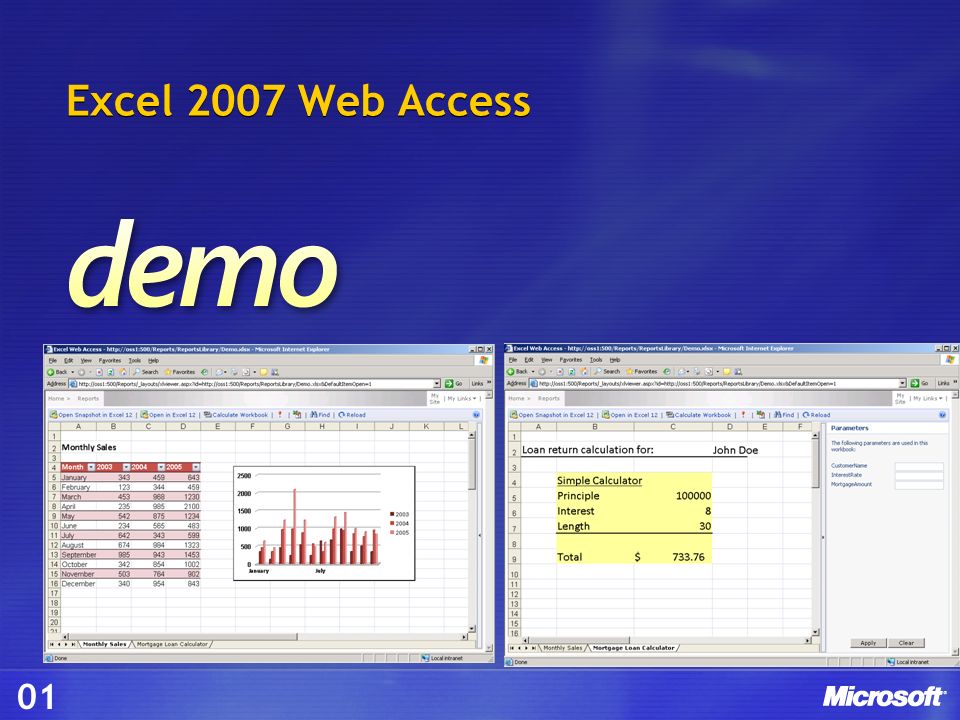 Excel 2007 Web Access 01