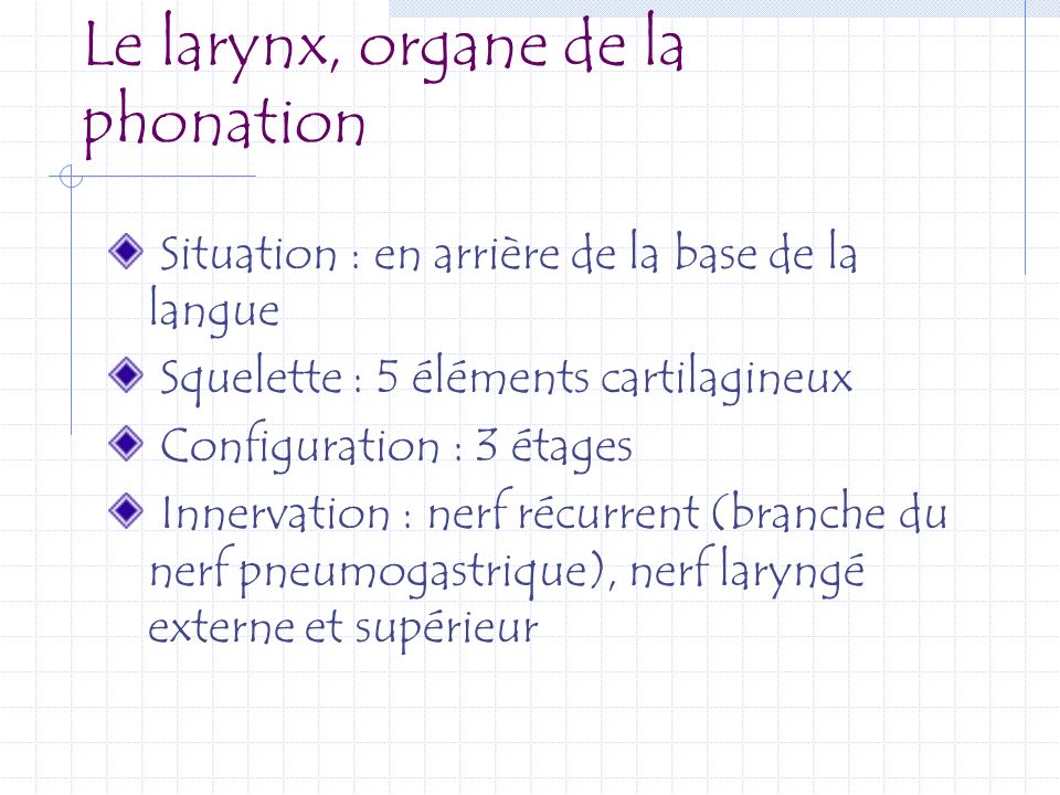 Le larynx, organe de la phonation