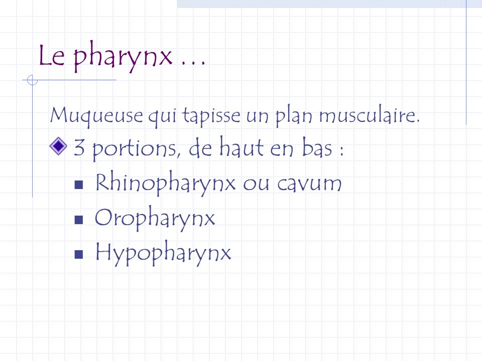 Le pharynx … 3 portions, de haut en bas : Rhinopharynx ou cavum