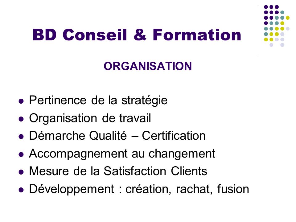 BD Conseil & Formation Pertinence de la stratégie